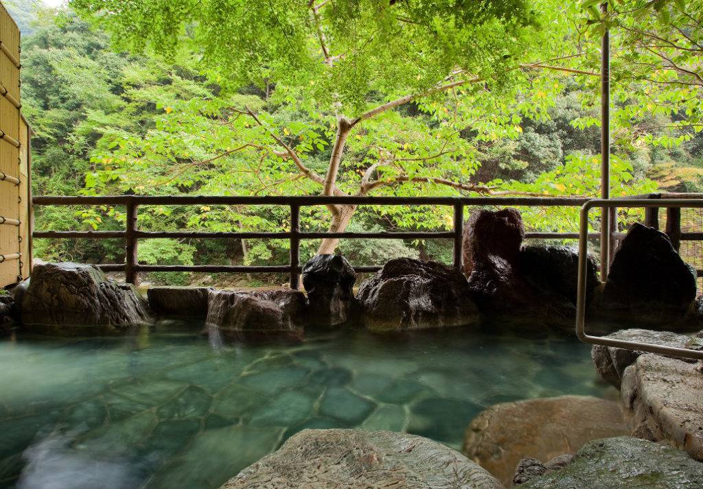 Settsukyo Hananosato Onsen Sansuikan, sansuikan.com