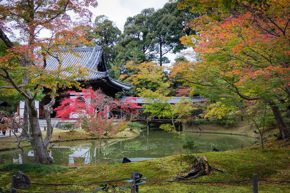 Kodaiji Temple