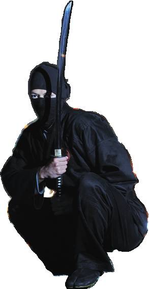 How did the Ninja train