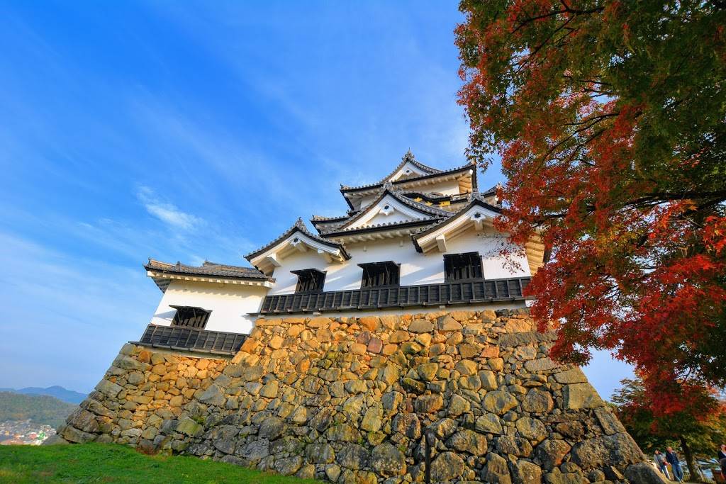 Hikone castle