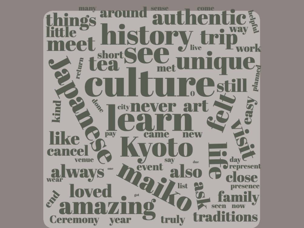 Illustration 1: Word Clout From Geisha Survey