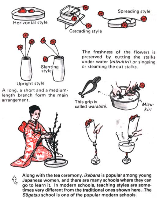 Ikebana Nippon
