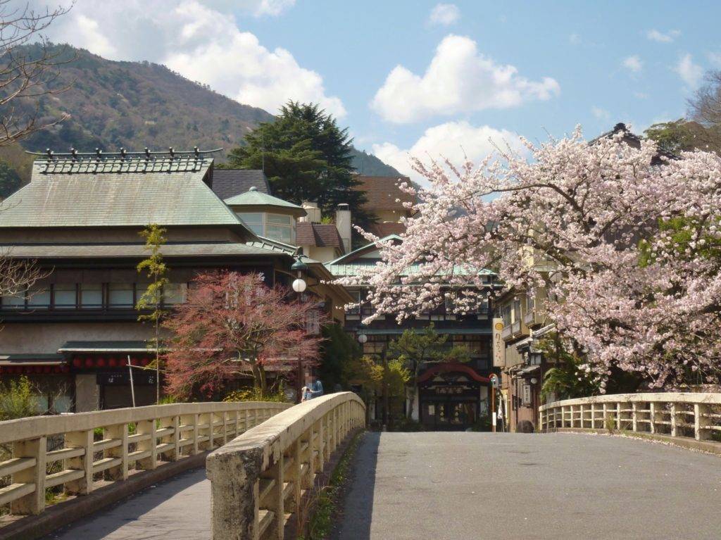Hakone Yumoto Onsen in the cherry blossom season (Hakone Town, Kanagawa Prefecture) by Quercus Acuta