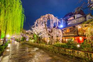 Gion Shirakawa at night