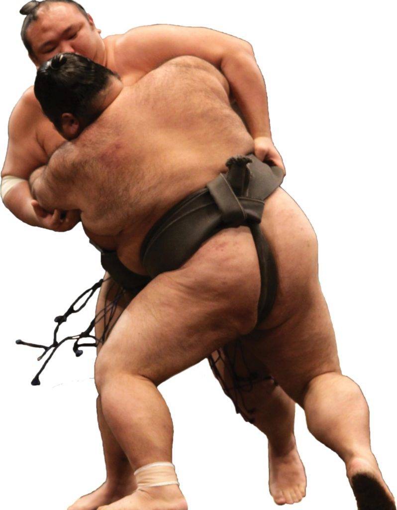 SUMO