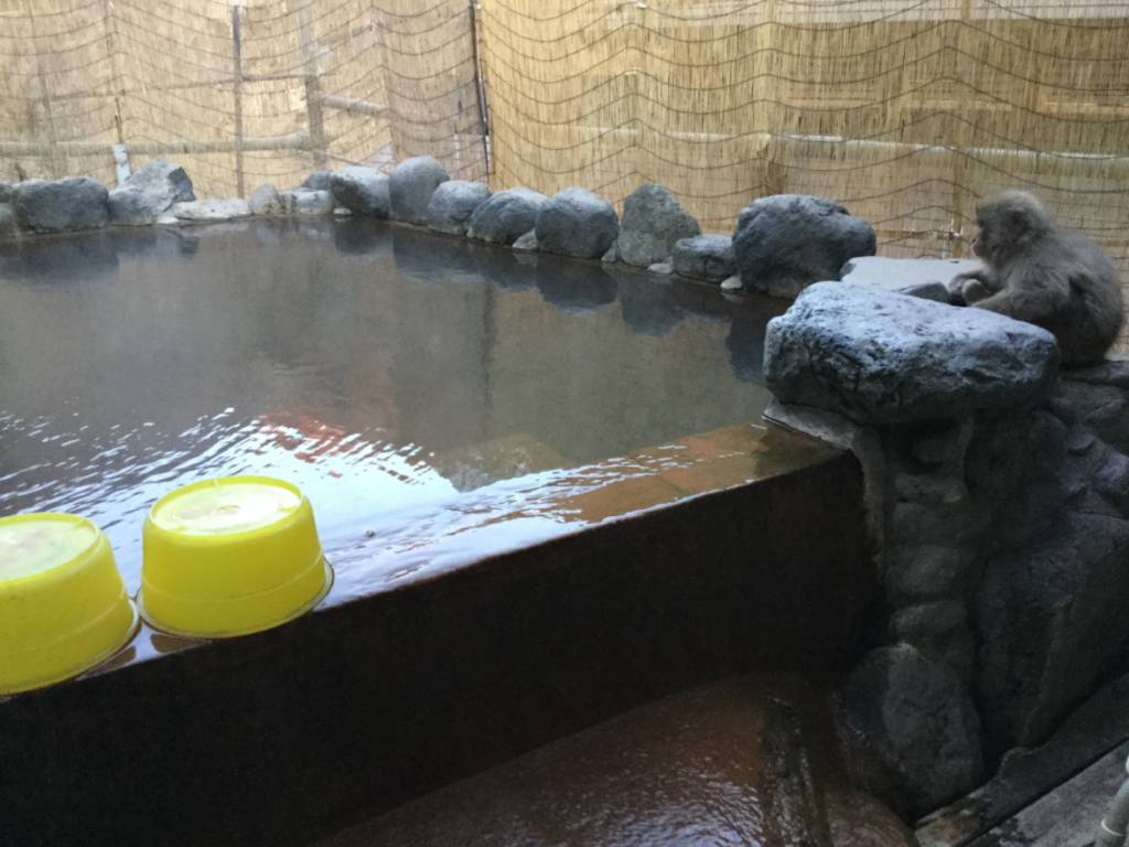 Jigokudani Onsen Korakukan, jigokudanionsen.com