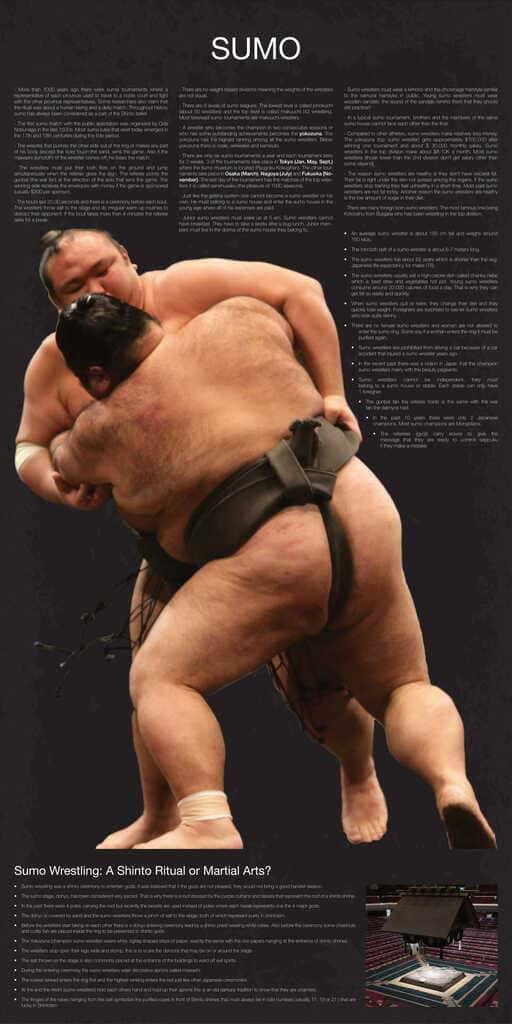 Sumo Wrestling in Japan Facts Meaning Culture