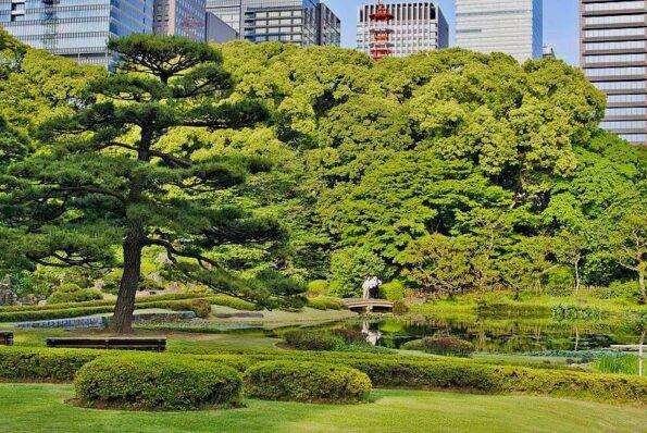 Tokyo Imperial Palace East Gardens