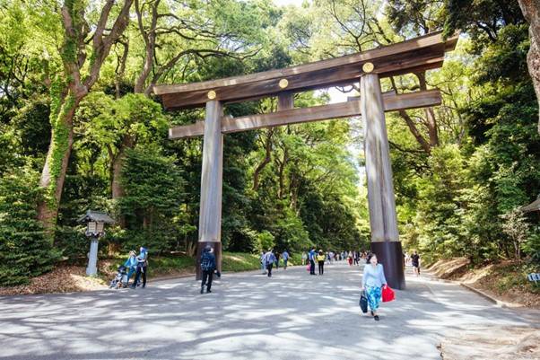 Places Meiji Jingu and Harajuku